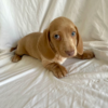 Boy 3 - Image 3